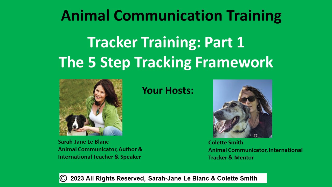 Tracker Training: Part 1 - The Tracking Framework | Sarah-Jane | Pet ...